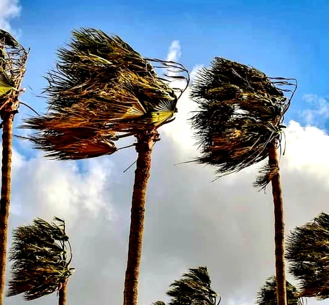 نشرة إنذارية.. رياح قوية مرتقبة من الثلاثاء إلى الخميس بعدد من مناطق المملكة